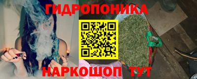 шишки Усть-Джегута