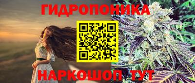 шишки Усть-Джегута