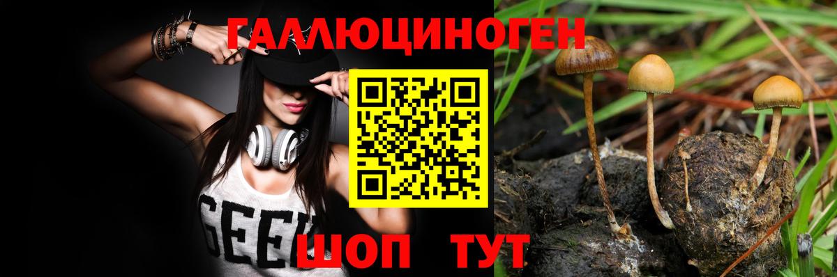 Галлюциногенные грибы мухоморы Тосно