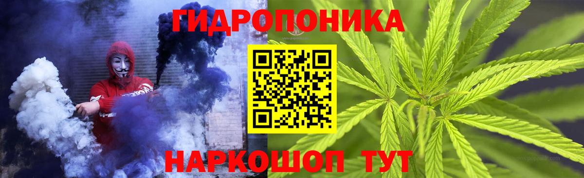 Конопля Тосно